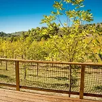 Holidays - Pian Di Boccio Luxury tent *