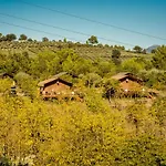 Holidays - Pian Di Boccio * Bevagna