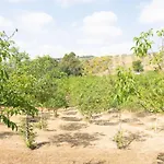 אוהל מפואר Holidays - Pian Di Boccio