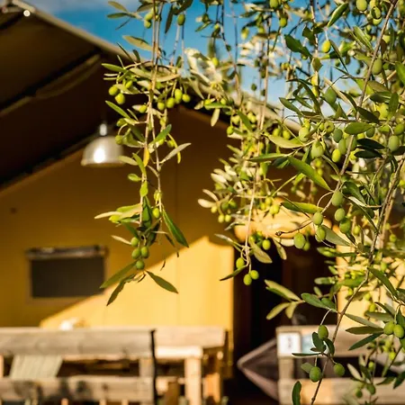 Holidays - Pian Di Boccio