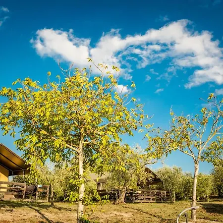 Holidays - Pian Di Boccio