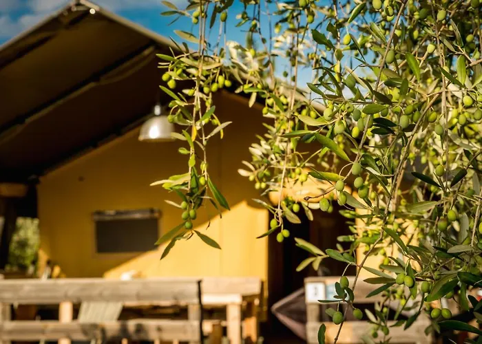 Holidays - Pian Di Boccio